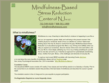 Tablet Screenshot of mindfulnessnj.com